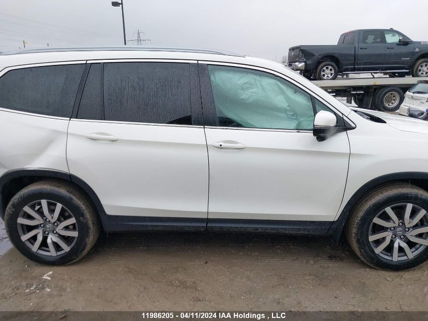 2019 Honda Pilot VIN: 5FNYF6H78KB506668 Lot: 11986205