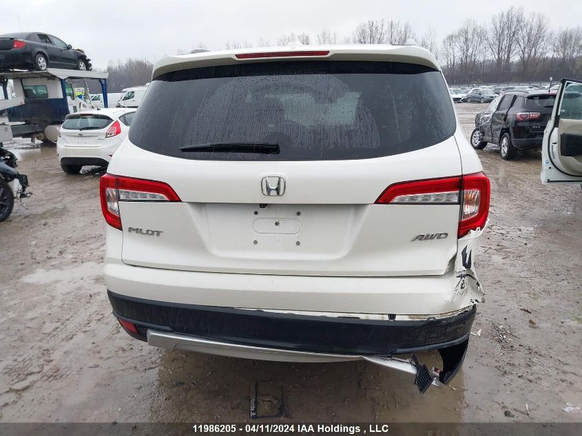 2019 Honda Pilot VIN: 5FNYF6H78KB506668 Lot: 11986205