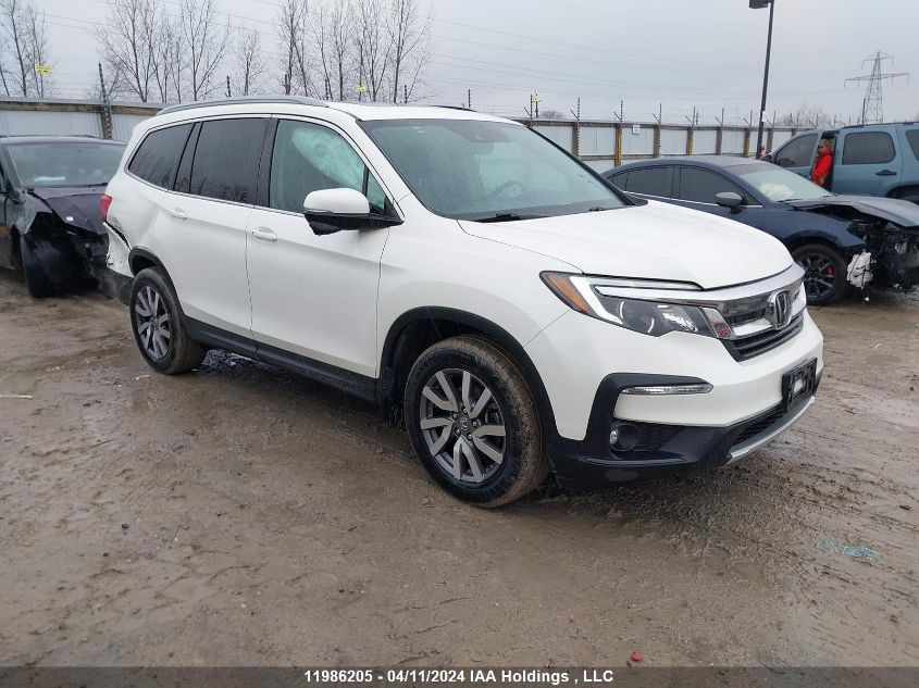 2019 Honda Pilot VIN: 5FNYF6H78KB506668 Lot: 11986205