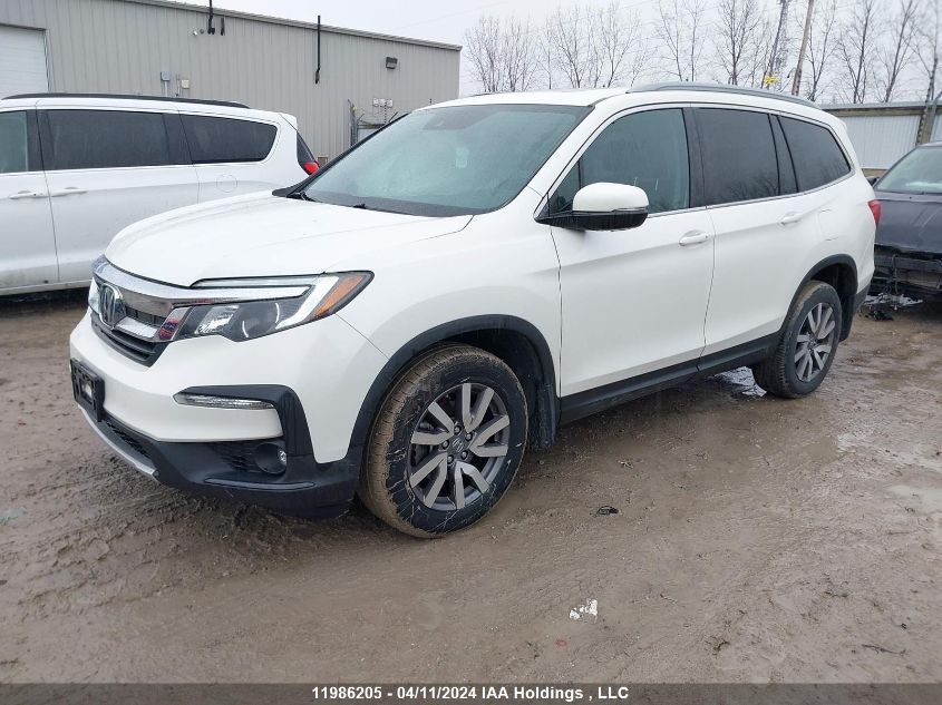 2019 Honda Pilot VIN: 5FNYF6H78KB506668 Lot: 11986205