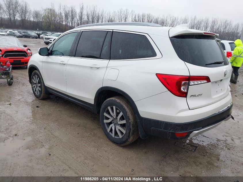 2019 Honda Pilot VIN: 5FNYF6H78KB506668 Lot: 11986205