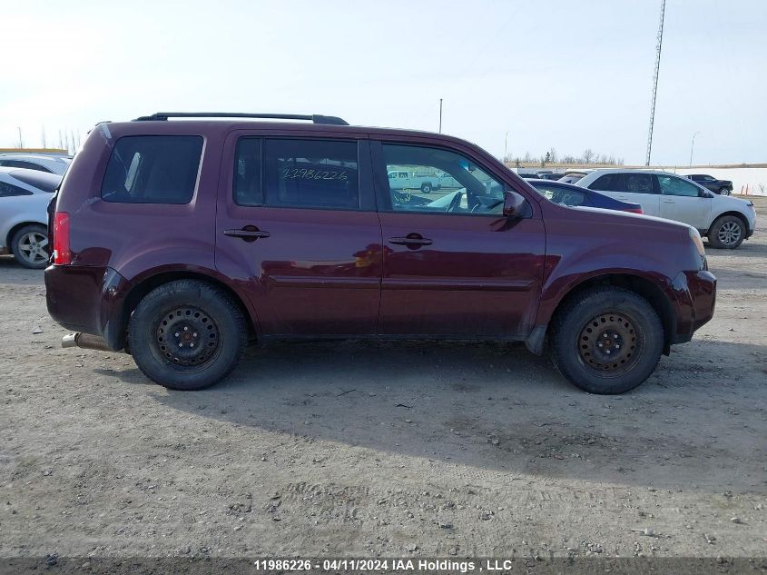 2009 Honda Pilot Ex VIN: 5FNYF48439B005711 Lot: 11986226