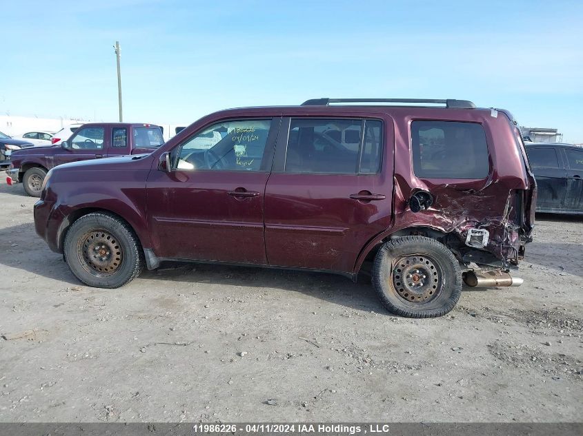 2009 Honda Pilot Ex VIN: 5FNYF48439B005711 Lot: 11986226