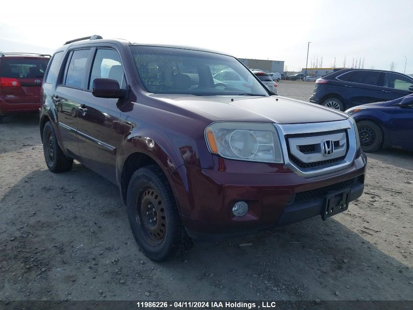 2009 Honda Pilot Ex VIN: 5FNYF48439B005711 Lot: 11986226