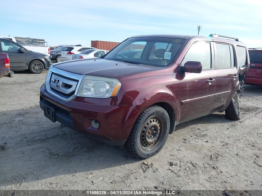 2009 Honda Pilot Ex VIN: 5FNYF48439B005711 Lot: 11986226