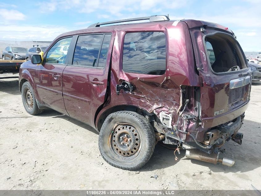 2009 Honda Pilot Ex VIN: 5FNYF48439B005711 Lot: 11986226