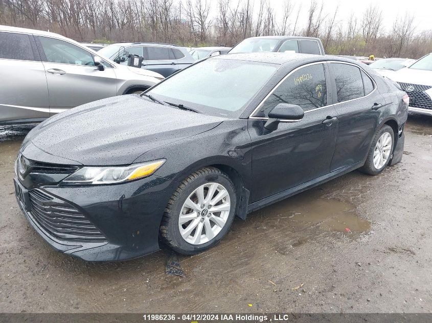 2019 Toyota Camry Le/Se/Xle VIN: 4T1B11HK1KU165421 Lot: 11986236