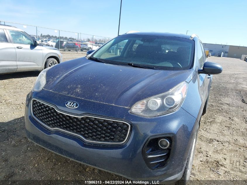 2017 Kia Sportage VIN: KNDPMCAC2H7083236 Lot: 11986313