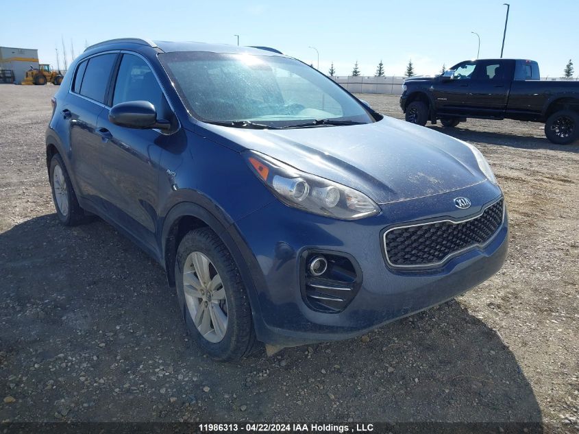 2017 Kia Sportage VIN: KNDPMCAC2H7083236 Lot: 11986313