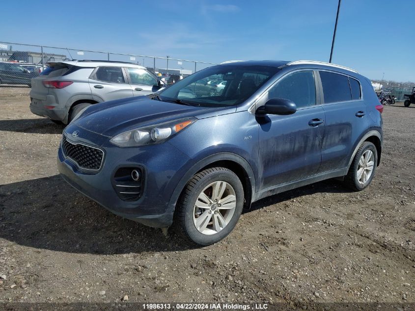 2017 Kia Sportage VIN: KNDPMCAC2H7083236 Lot: 11986313