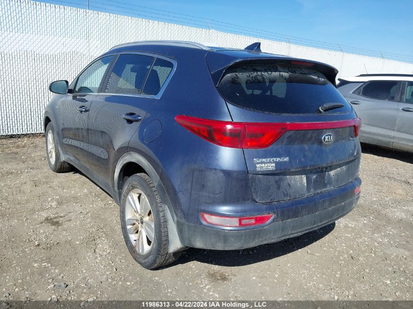 2017 Kia Sportage VIN: KNDPMCAC2H7083236 Lot: 11986313