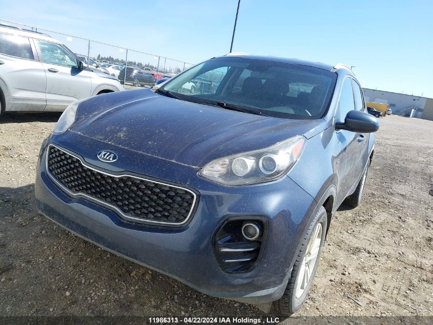 2017 Kia Sportage VIN: KNDPMCAC2H7083236 Lot: 11986313