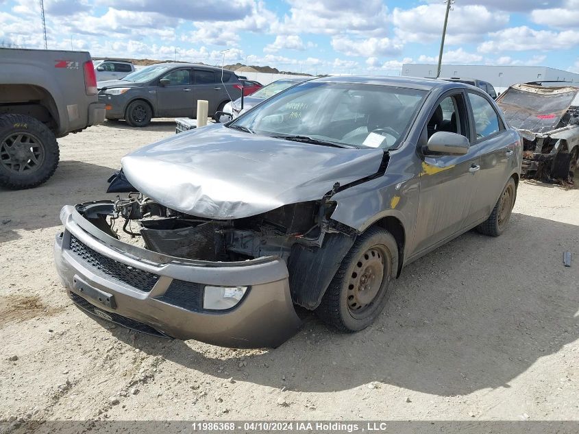 2012 Kia Forte VIN: KNAFW4A33C5636599 Lot: 47138714