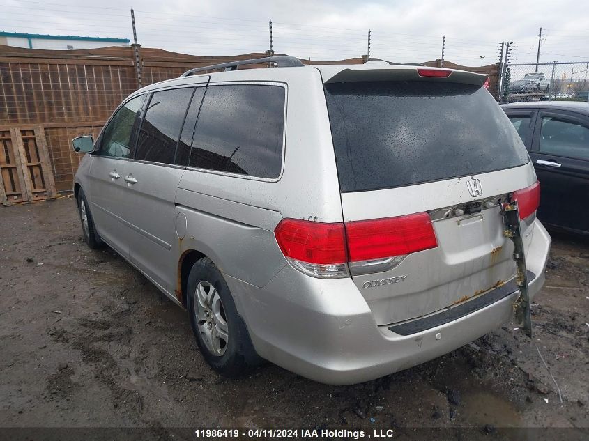 2008 Honda Odyssey Touring VIN: 5FNRL388X8B501260 Lot: 39206845