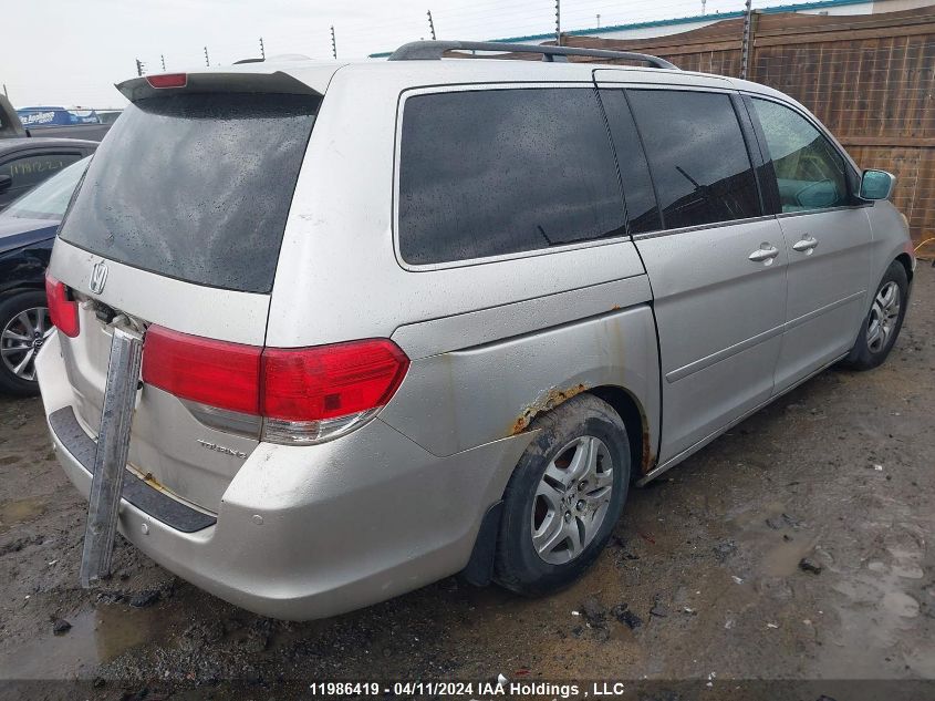 2008 Honda Odyssey Touring VIN: 5FNRL388X8B501260 Lot: 39206845