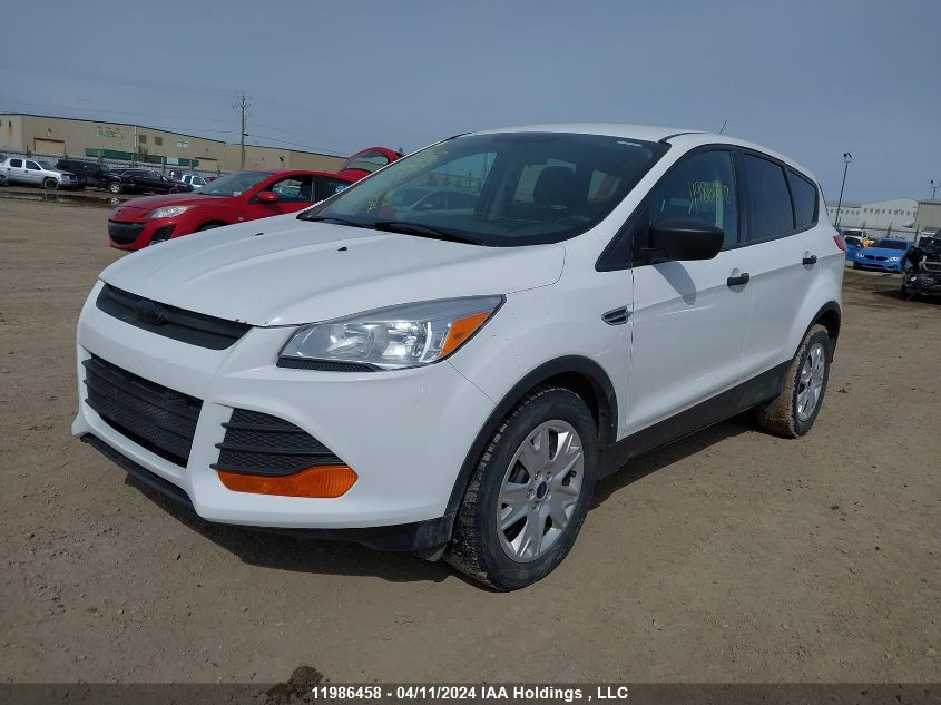 2014 Ford Escape S VIN: 1FMCU0F74EUA41443 Lot: 11986458