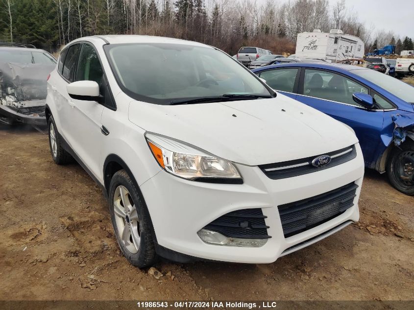 2014 Ford Escape Se VIN: 1FMCU0GX4EUC70848 Lot: 11986543