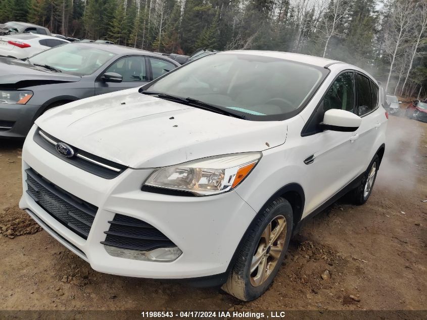 2014 Ford Escape Se VIN: 1FMCU0GX4EUC70848 Lot: 11986543