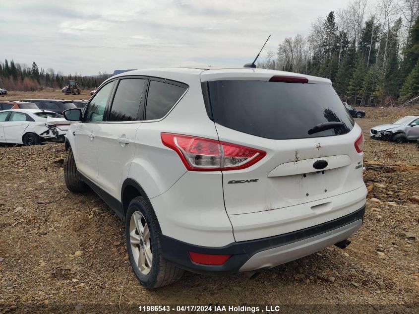 2014 Ford Escape Se VIN: 1FMCU0GX4EUC70848 Lot: 11986543