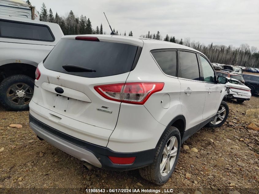 2014 Ford Escape Se VIN: 1FMCU0GX4EUC70848 Lot: 11986543