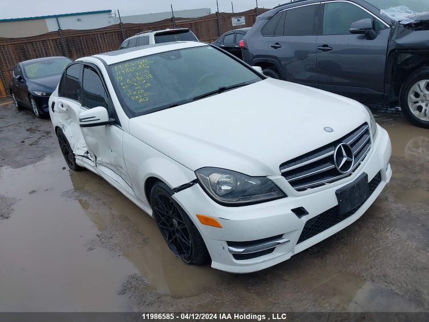 2014 Mercedes-Benz C 300 4Matic VIN: WDDGF8AB6EA898638 Lot: 11986585