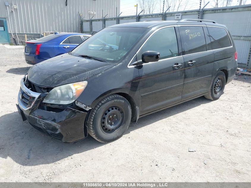 2010 Honda Odyssey Exl VIN: 5FNRL3H76AB507179 Lot: 11986650