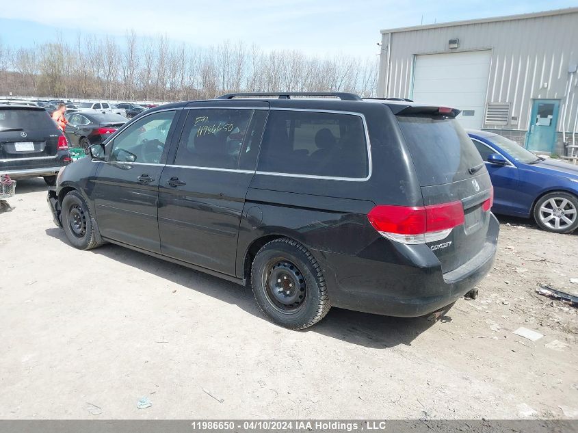 2010 Honda Odyssey Exl VIN: 5FNRL3H76AB507179 Lot: 11986650