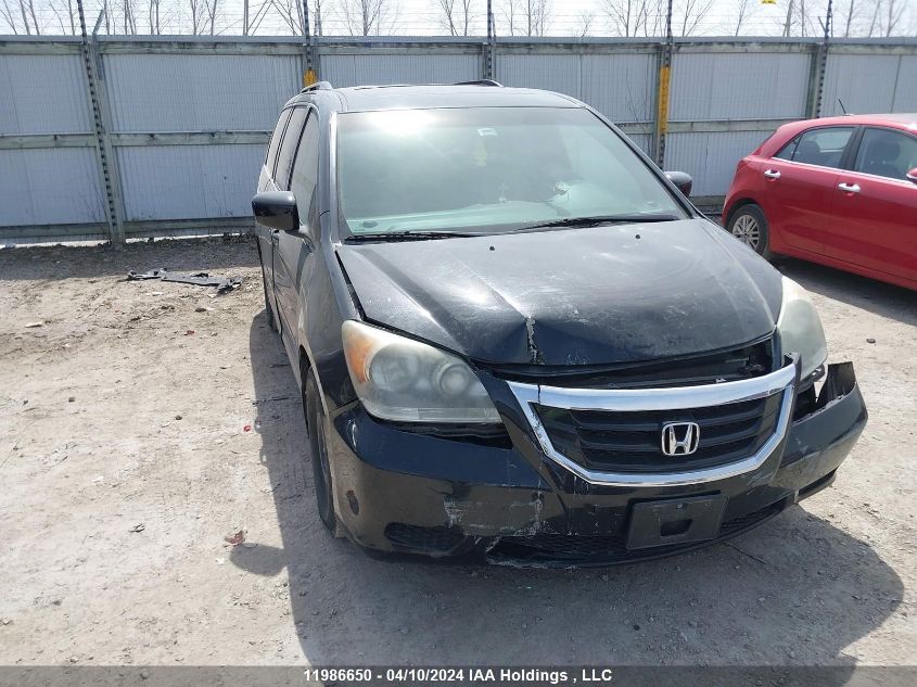 2010 Honda Odyssey Exl VIN: 5FNRL3H76AB507179 Lot: 11986650