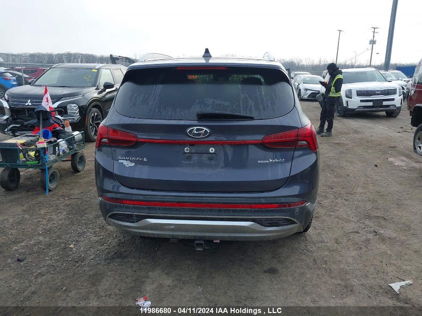 2021 Hyundai Santa Fe Limited VIN: KM8S5DA10MU011647 Lot: 11986680