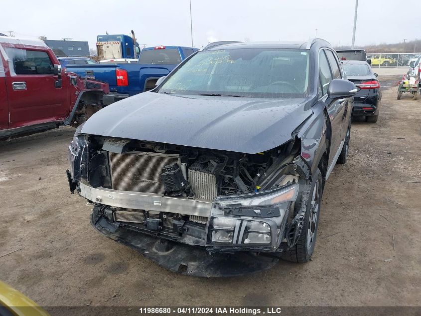 2021 Hyundai Santa Fe Limited VIN: KM8S5DA10MU011647 Lot: 11986680