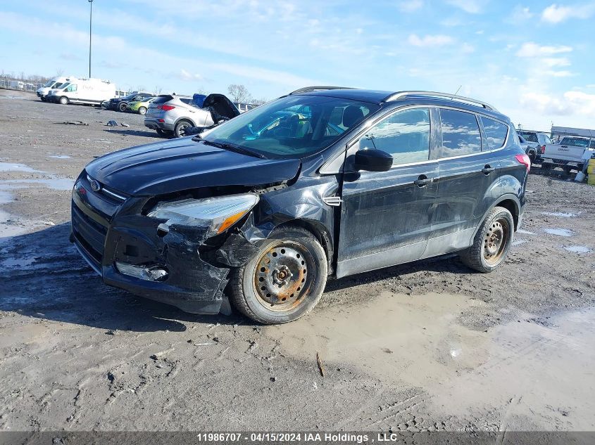 2016 Ford Escape VIN: 1FMCU0G76GUA56432 Lot: 11986707