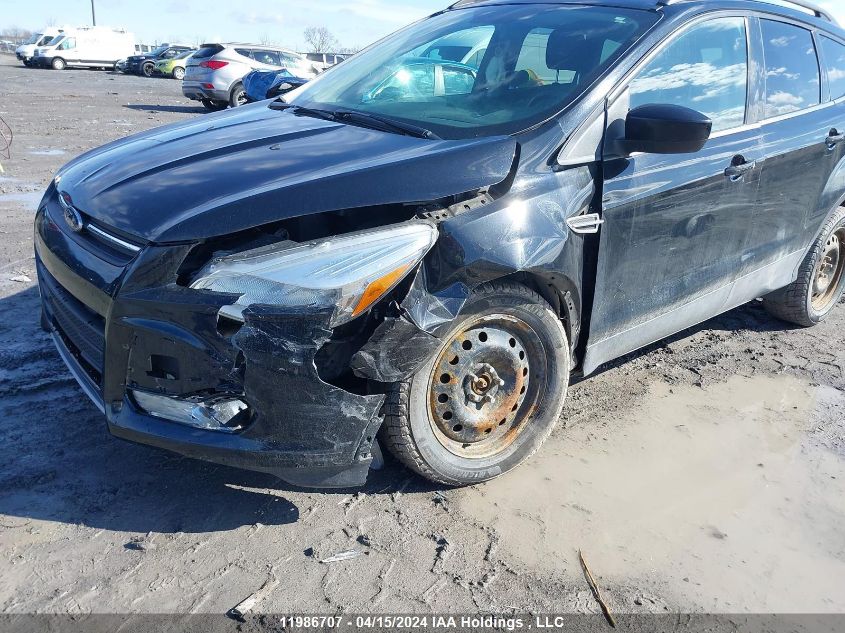 2016 Ford Escape VIN: 1FMCU0G76GUA56432 Lot: 11986707