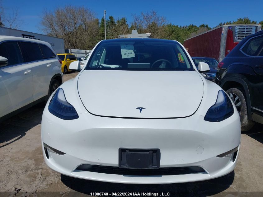 2022 Tesla Model Y VIN: 7SAYGDEE0NF565239 Lot: 11986740