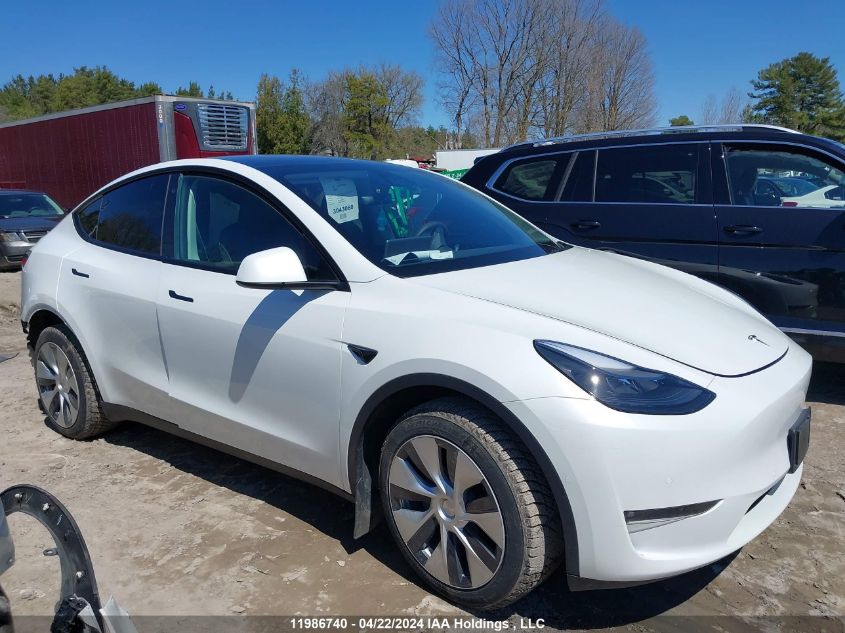 2022 Tesla Model Y VIN: 7SAYGDEE0NF565239 Lot: 11986740