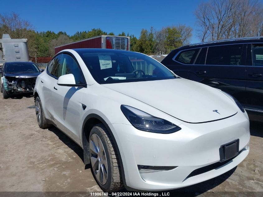 2022 Tesla Model Y VIN: 7SAYGDEE0NF565239 Lot: 11986740