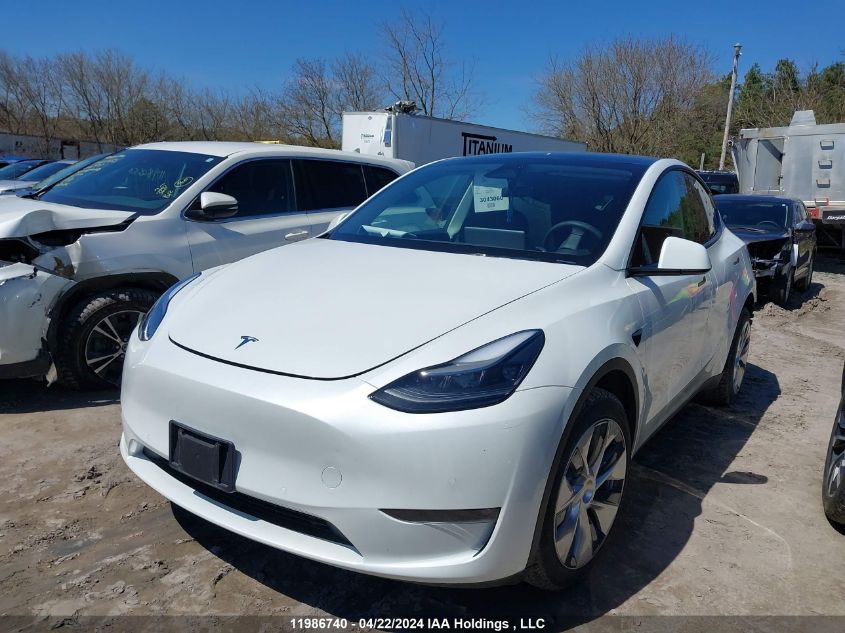 2022 Tesla Model Y VIN: 7SAYGDEE0NF565239 Lot: 11986740