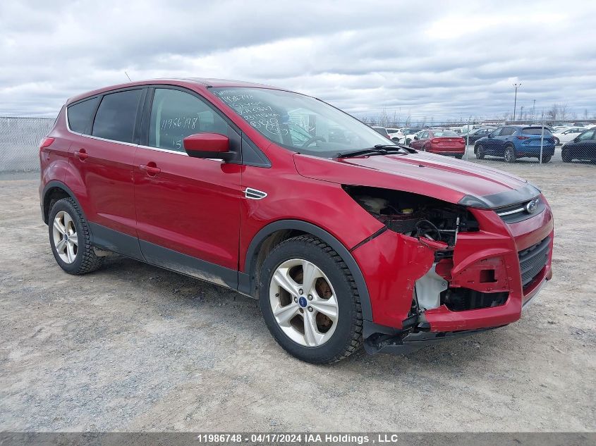 2015 Ford Escape Se VIN: 1FMCU0GX8FUA33667 Lot: 11986748