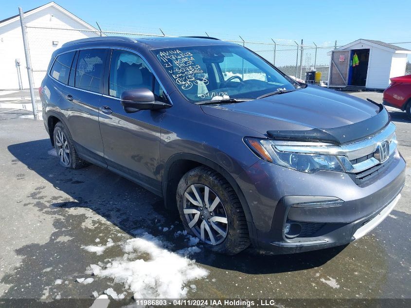 2021 Honda Pilot VIN: 5FNYF6H73MB507827 Lot: 11986803