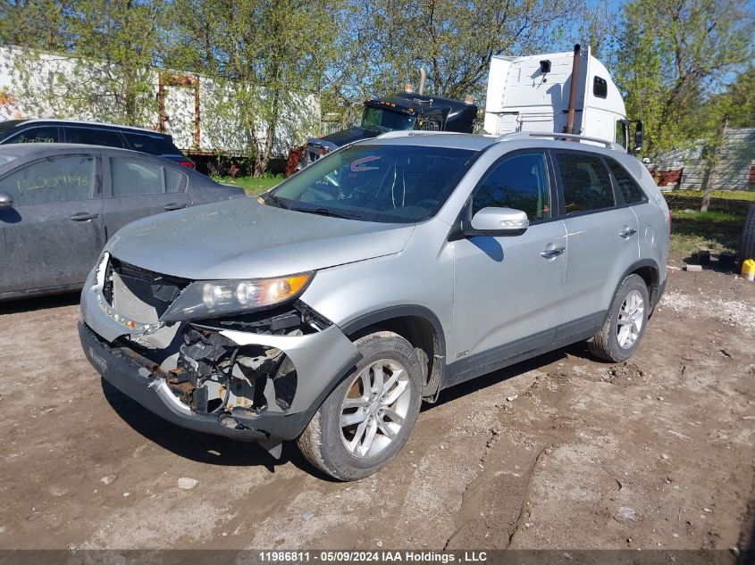 2012 Kia Sorento VIN: 5XYKTDA23CG205317 Lot: 11986811