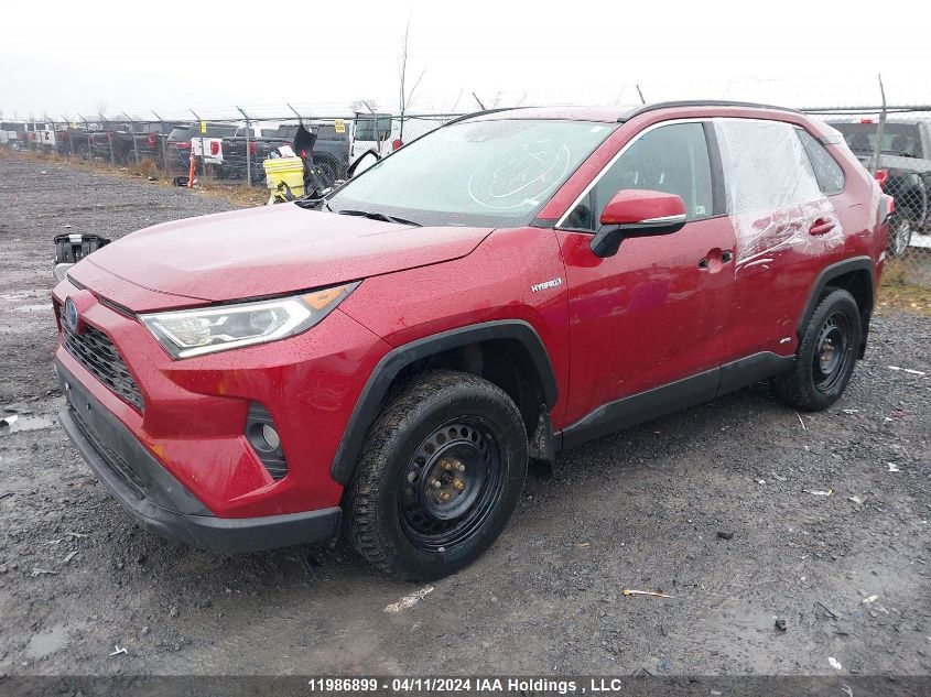 2020 Toyota Rav4 VIN: 2T3RWRFV5LW101452 Lot: 11986899