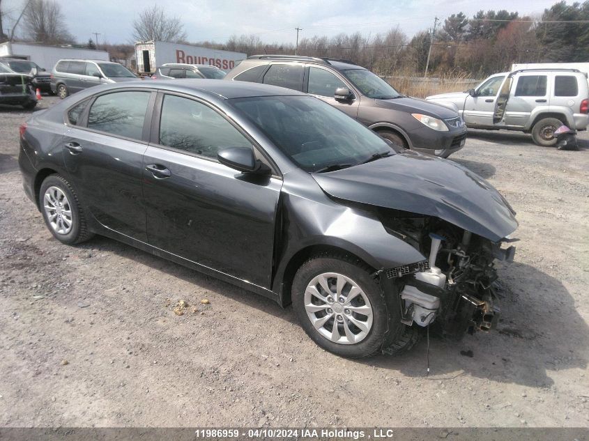 2019 Kia Forte VIN: 3KPF24AD9KE121441 Lot: 39242461