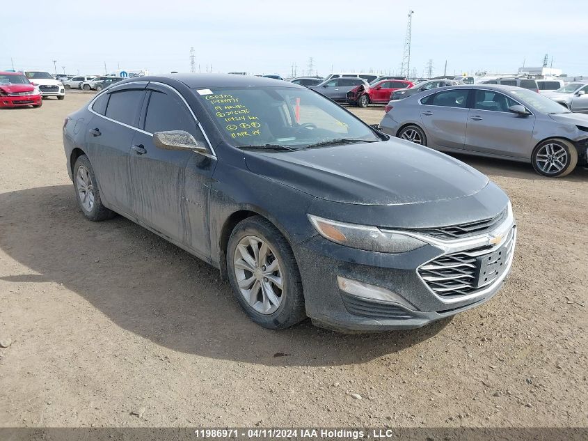 2019 Chevrolet Malibu VIN: 1G1ZD5ST1KF206274 Lot: 11986971