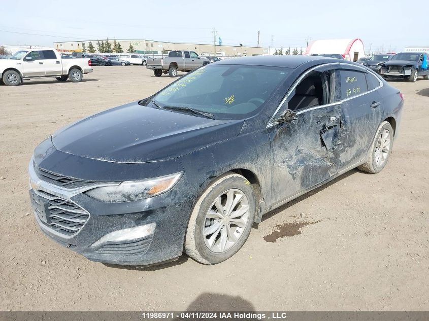 2019 Chevrolet Malibu VIN: 1G1ZD5ST1KF206274 Lot: 11986971