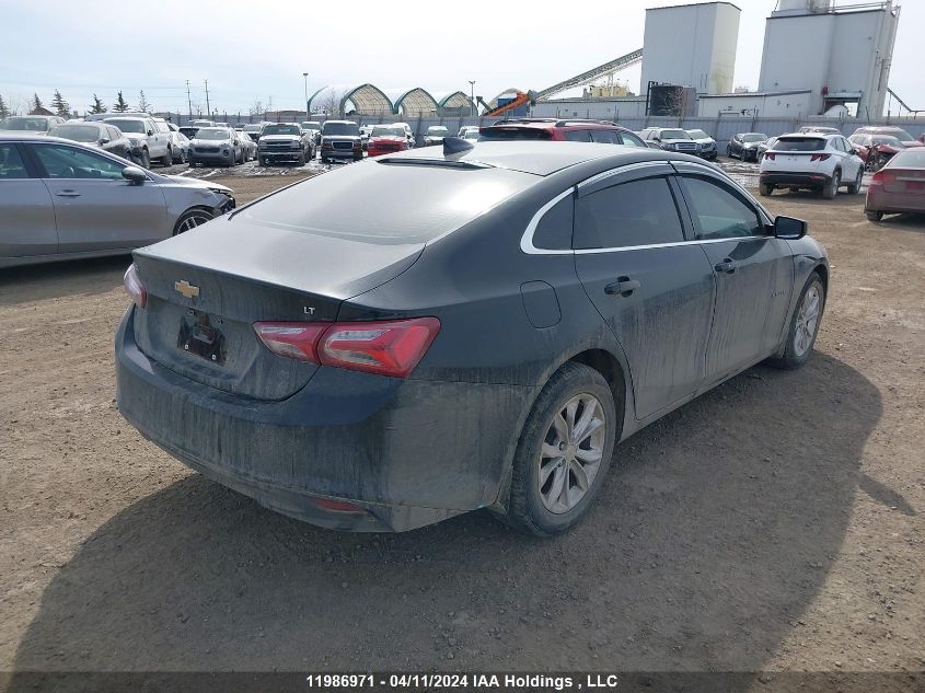 2019 Chevrolet Malibu VIN: 1G1ZD5ST1KF206274 Lot: 11986971