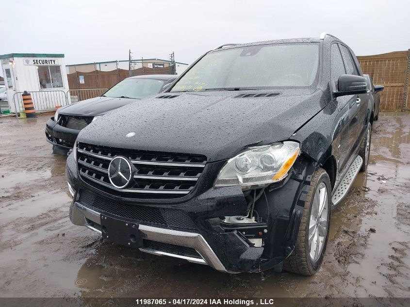 2012 Mercedes-Benz Ml-Class VIN: 4JGDA5HB1CA026084 Lot: 39239373