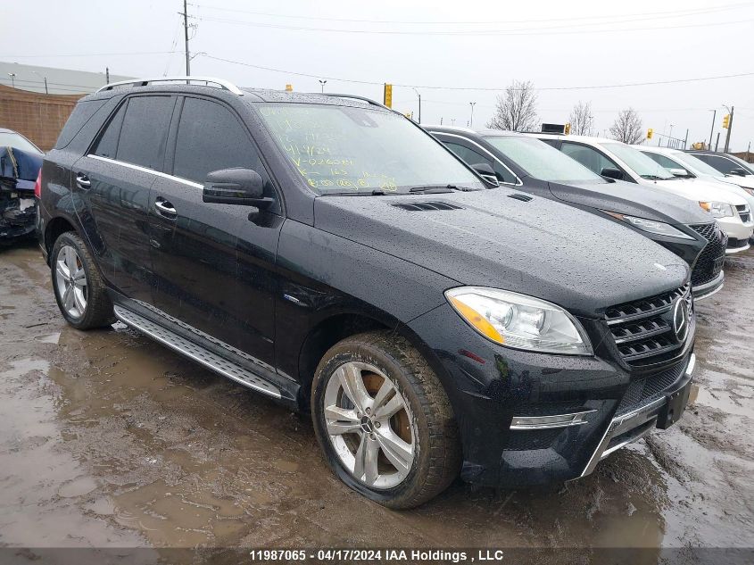 2012 Mercedes-Benz Ml-Class VIN: 4JGDA5HB1CA026084 Lot: 39239373