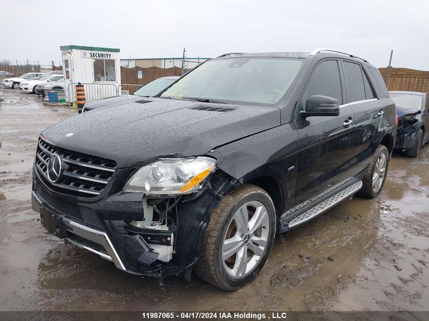 2012 Mercedes-Benz Ml-Class VIN: 4JGDA5HB1CA026084 Lot: 39239373