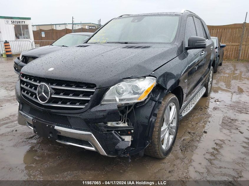 2012 Mercedes-Benz Ml-Class VIN: 4JGDA5HB1CA026084 Lot: 39239373