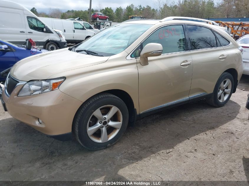 2010 Lexus Rx 350 VIN: 2T2BK1BA5AC042164 Lot: 11987068