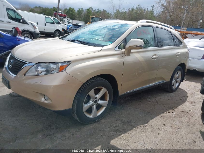 2010 Lexus Rx 350 VIN: 2T2BK1BA5AC042164 Lot: 11987068